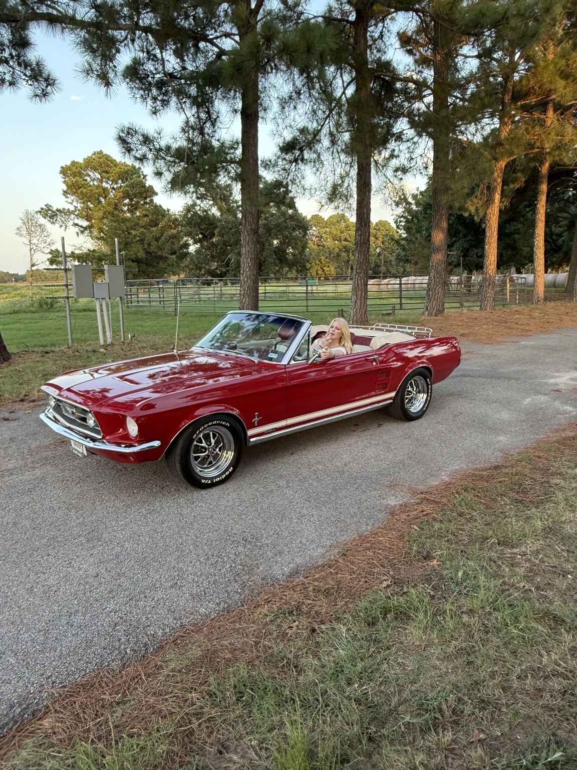 My red Mustang